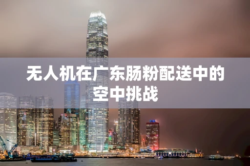 无人机在广东肠粉配送中的空中挑战