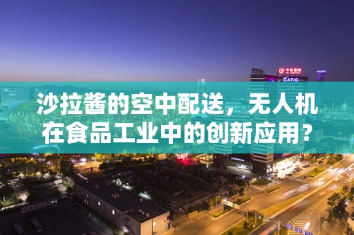 沙拉酱的空中配送，无人机在食品工业中的创新应用？