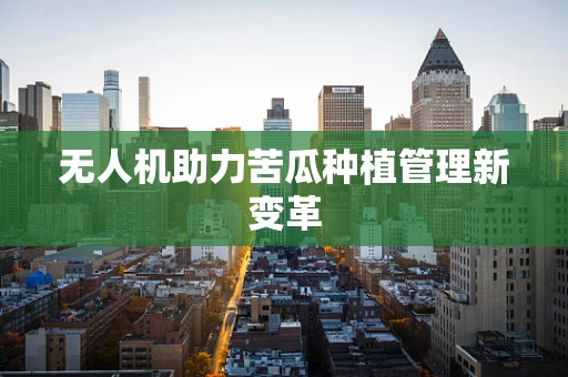 无人机助力苦瓜种植管理新变革