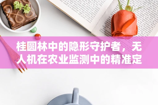 桂圆林中的隐形守护者，无人机在农业监测中的精准定位挑战
