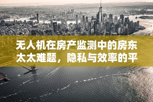 无人机在房产监测中的房东太太难题，隐私与效率的平衡