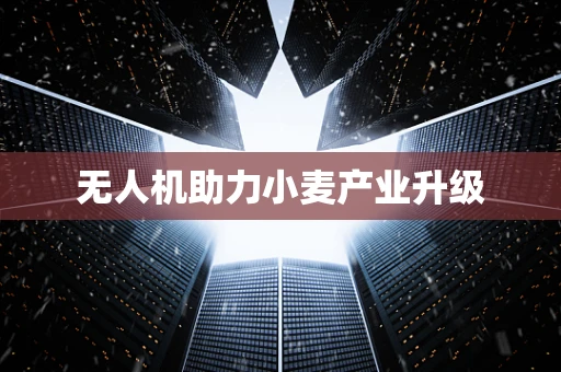 无人机助力小麦产业升级