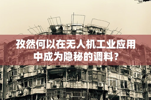 孜然何以在无人机工业应用中成为隐秘的调料？