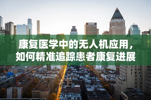 康复医学中的无人机应用，如何精准追踪患者康复进展？