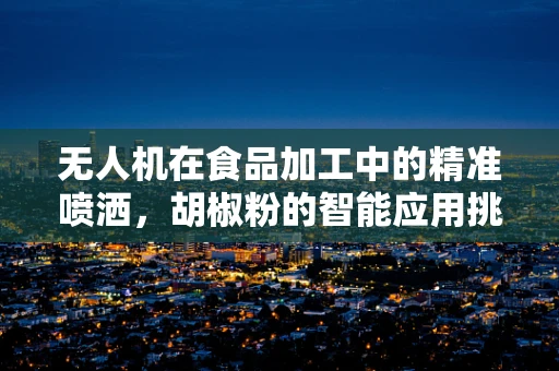 无人机在食品加工中的精准喷洒，胡椒粉的智能应用挑战