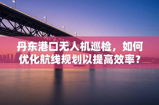 丹东港口无人机巡检，如何优化航线规划以提高效率？