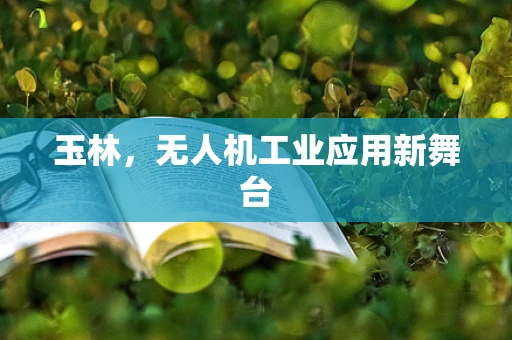 玉林，无人机工业应用新舞台