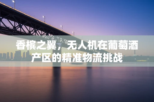 香槟之翼，无人机在葡萄酒产区的精准物流挑战