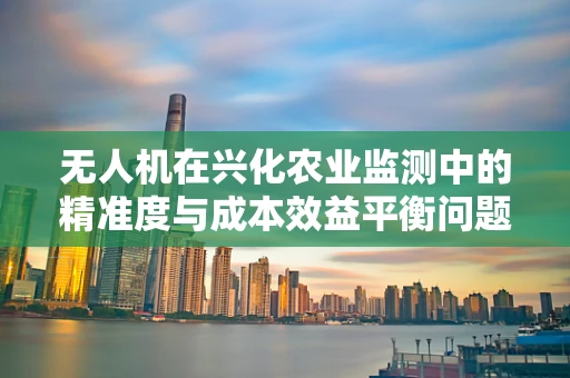 无人机在兴化农业监测中的精准度与成本效益平衡问题