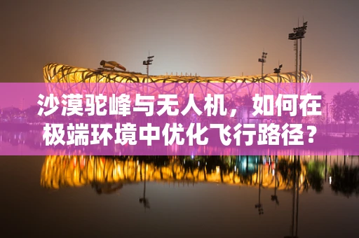 沙漠驼峰与无人机，如何在极端环境中优化飞行路径？