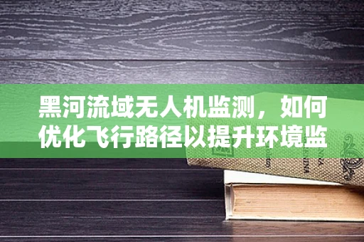 黑河流域无人机监测，如何优化飞行路径以提升环境监测效率？