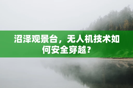 沼泽观景台，无人机技术如何安全穿越？