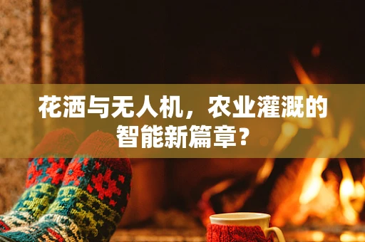 花洒与无人机，农业灌溉的智能新篇章？