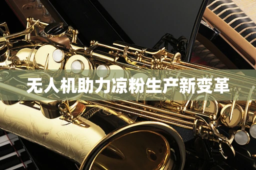 无人机助力凉粉生产新变革