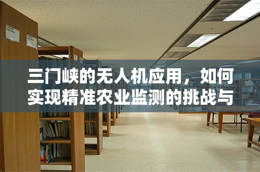 三门峡的无人机应用，如何实现精准农业监测的挑战与机遇？