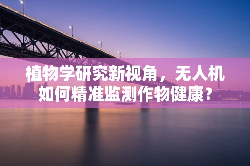 植物学研究新视角，无人机如何精准监测作物健康？