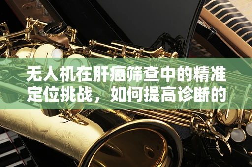 无人机在肝癌筛查中的精准定位挑战，如何提高诊断的准确性与效率？