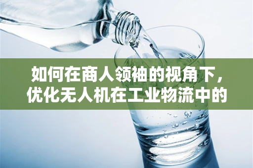 如何在商人领袖的视角下，优化无人机在工业物流中的应用？