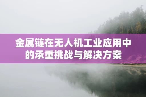 金属链在无人机工业应用中的承重挑战与解决方案