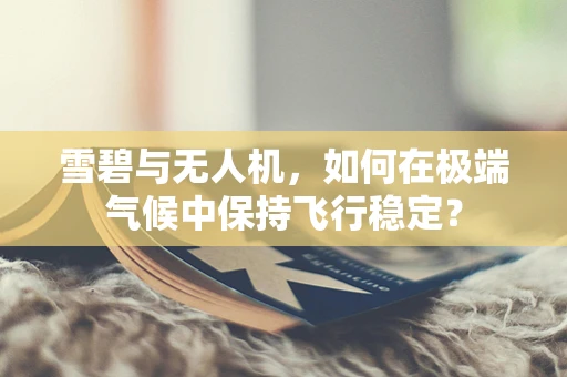 雪碧与无人机，如何在极端气候中保持飞行稳定？