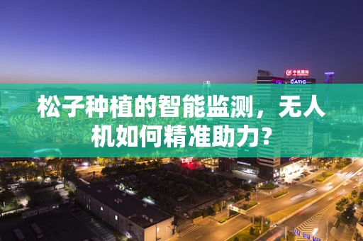 松子种植的智能监测，无人机如何精准助力？