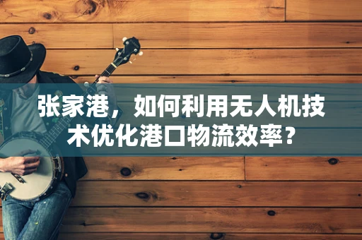 张家港，如何利用无人机技术优化港口物流效率？