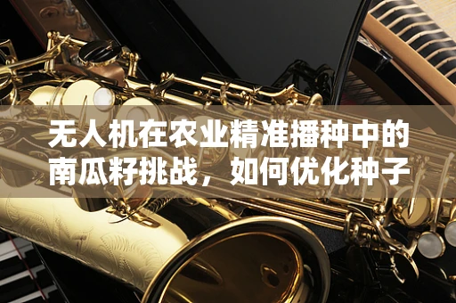 无人机在农业精准播种中的南瓜籽挑战，如何优化种子分布？