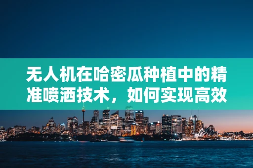 无人机在哈密瓜种植中的精准喷洒技术，如何实现高效与环保的平衡？