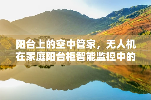 阳台上的空中管家，无人机在家庭阳台柜智能监控中的应用？