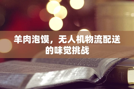 羊肉泡馍，无人机物流配送的味觉挑战