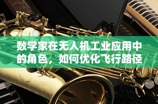 数学家在无人机工业应用中的角色，如何优化飞行路径？
