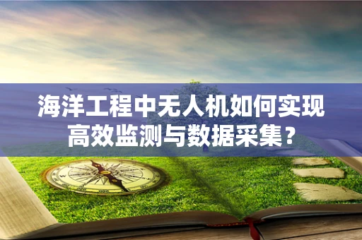 海洋工程中无人机如何实现高效监测与数据采集？