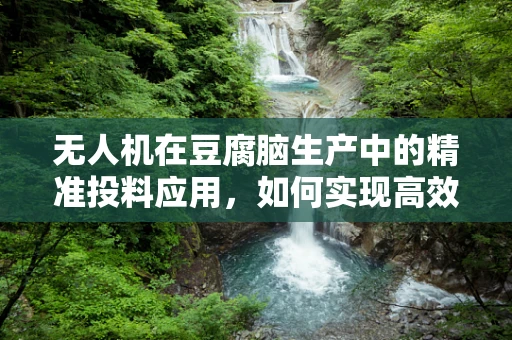 无人机在豆腐脑生产中的精准投料应用，如何实现高效且无损的豆腐脑原料配送？