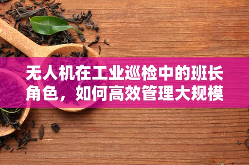 无人机在工业巡检中的班长角色，如何高效管理大规模机队？