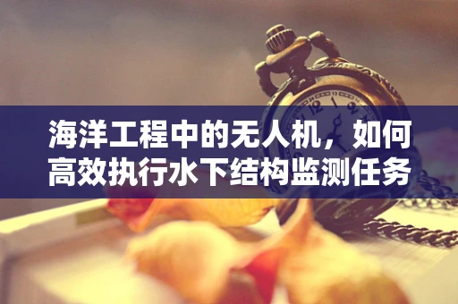 海洋工程中的无人机，如何高效执行水下结构监测任务？