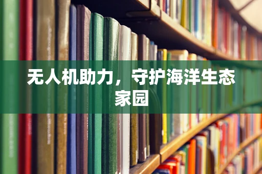 无人机助力，守护海洋生态家园
