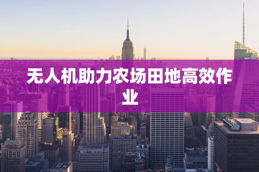 无人机助力农场田地高效作业