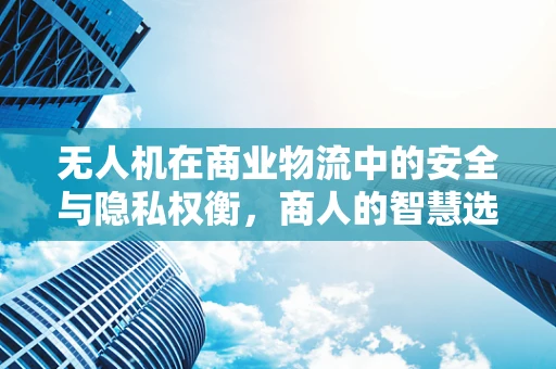 无人机在商业物流中的安全与隐私权衡，商人的智慧选择