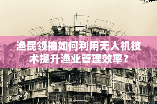 渔民领袖如何利用无人机技术提升渔业管理效率？