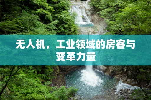 无人机，工业领域的房客与变革力量