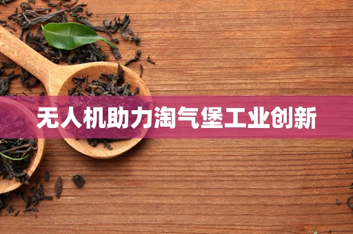 无人机助力淘气堡工业创新