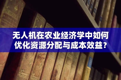 无人机在农业经济学中如何优化资源分配与成本效益？