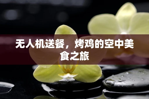 无人机送餐，烤鸡的空中美食之旅