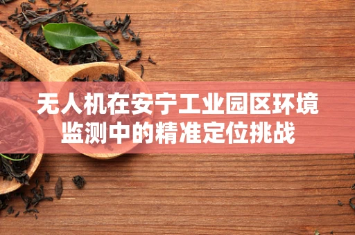 无人机在安宁工业园区环境监测中的精准定位挑战