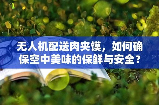 无人机配送肉夹馍，如何确保空中美味的保鲜与安全？