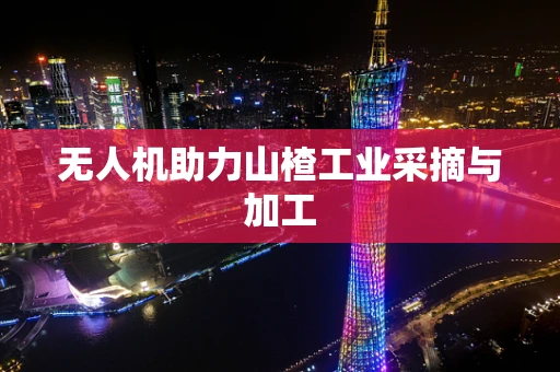 无人机助力山楂工业采摘与加工