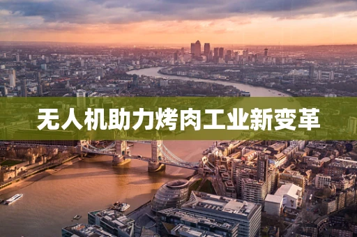 无人机助力烤肉工业新变革