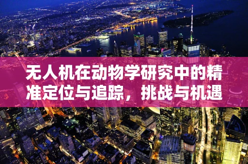 无人机在动物学研究中的精准定位与追踪，挑战与机遇？