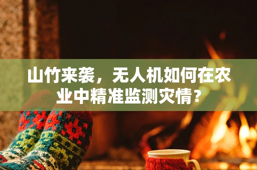 山竹来袭，无人机如何在农业中精准监测灾情？