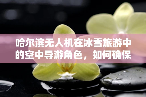 哈尔滨无人机在冰雪旅游中的空中导游角色，如何确保安全与效率？